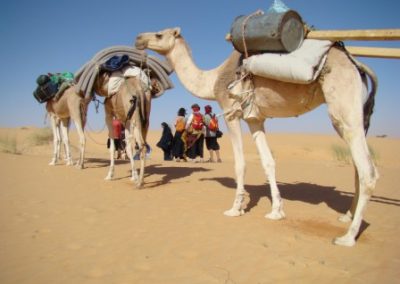 mauritanie amatlich (4)