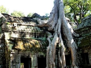 Angkor