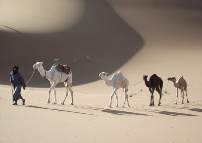 maroc-desert-zahar-dunes-4172-600