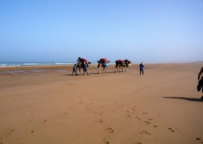 maroc-ocean-rando-plage-600