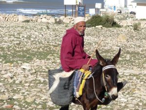 Sidi Kaoki