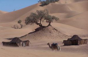 Sahara