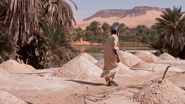 Résultat de recherche d'images pour "les troupeaux dans la nuit au tchad"