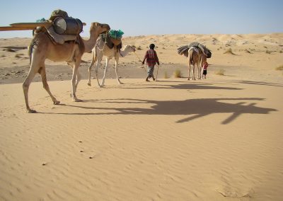mauritanie-caravane-dunes-800