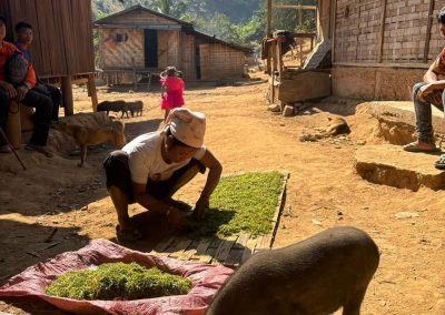 Laos 2023 (4)
