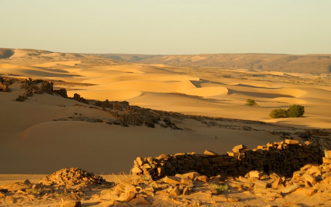 Mauritanie : De l&rsquo;Erg Amatlich à la vallée blanche