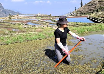 Yuangyang terrasses femme